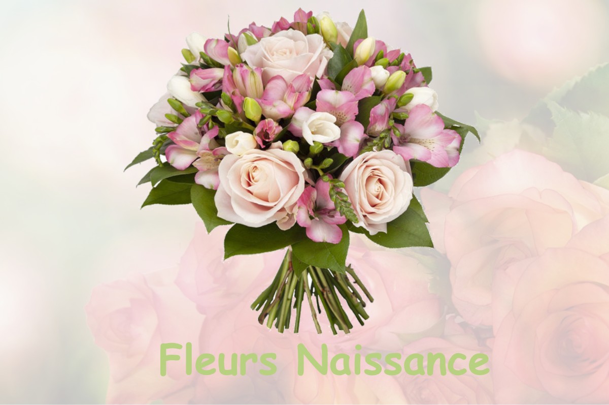 fleurs naissance SAINT-BONNET-DE-CHAVAGNE